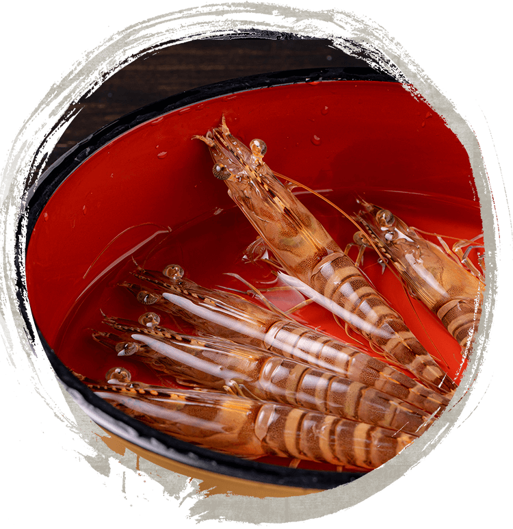 Live Kuruma Shrimp Odorigui
