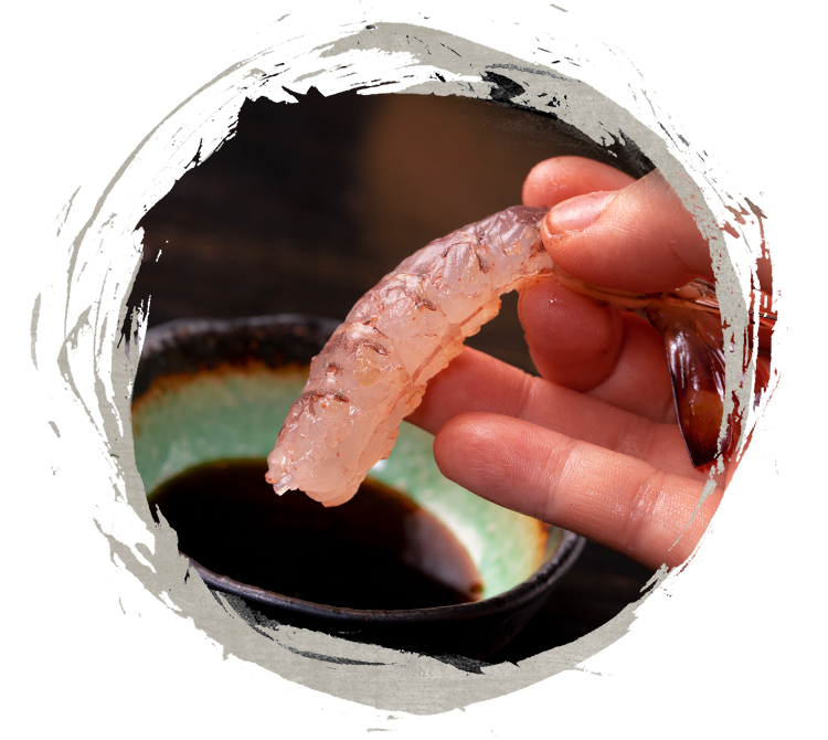 Live Kuruma Shrimp Odorigui